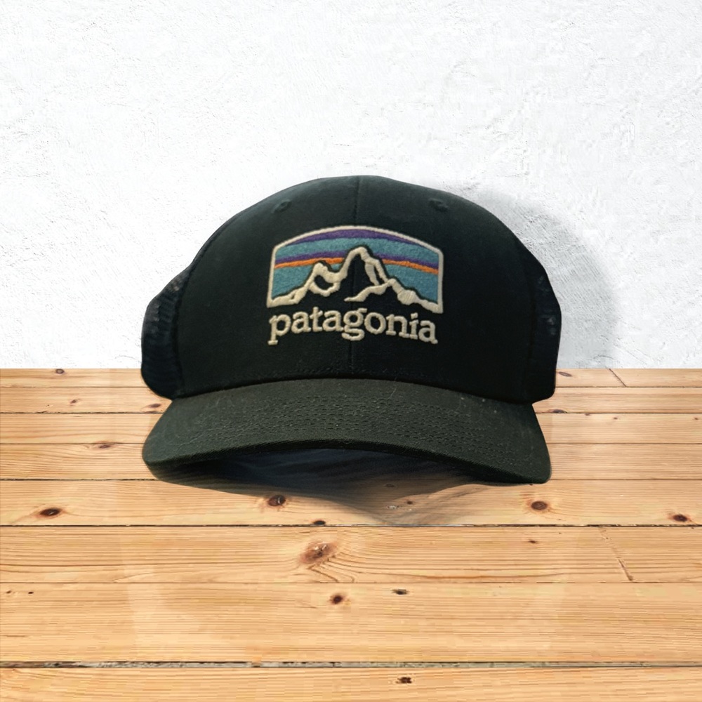 Green Patagonia Trucker hat